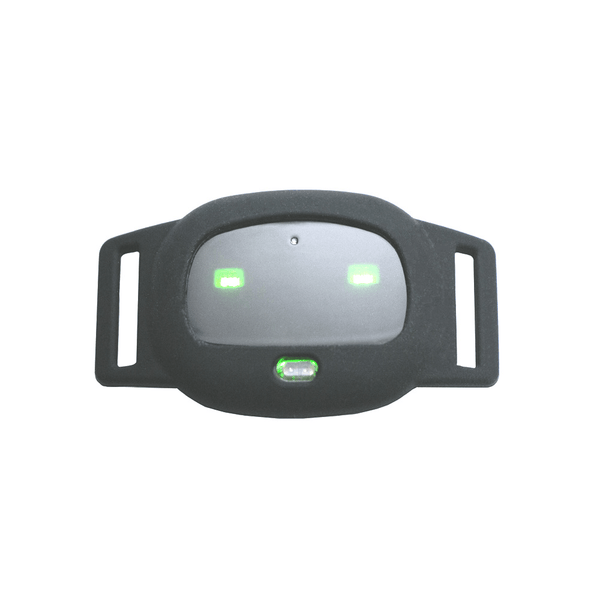 Smart GPS Cat Collar – Pet GPS Tracker