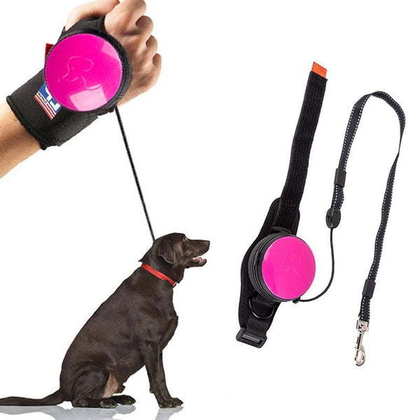 For Dogs