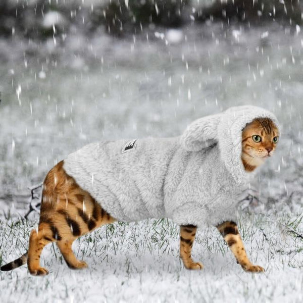 Kitty Snuggie - Pet Cat Hoodie