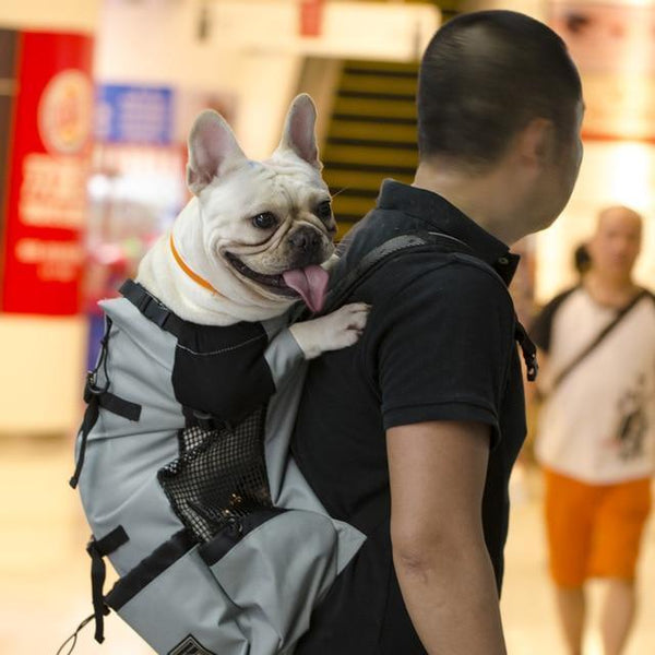 Dog Carrier Backpack - Pet Shoulder Traveler Bag For Large and medium dogs