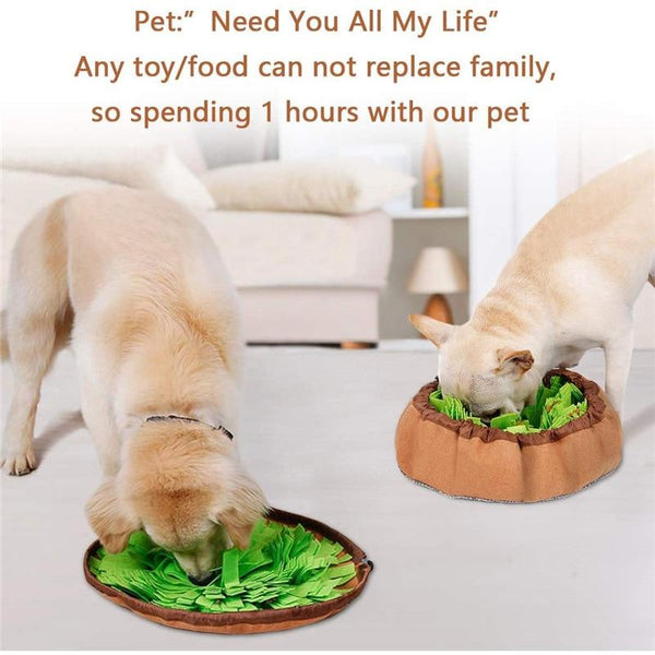 Snuffle Bowl Mat