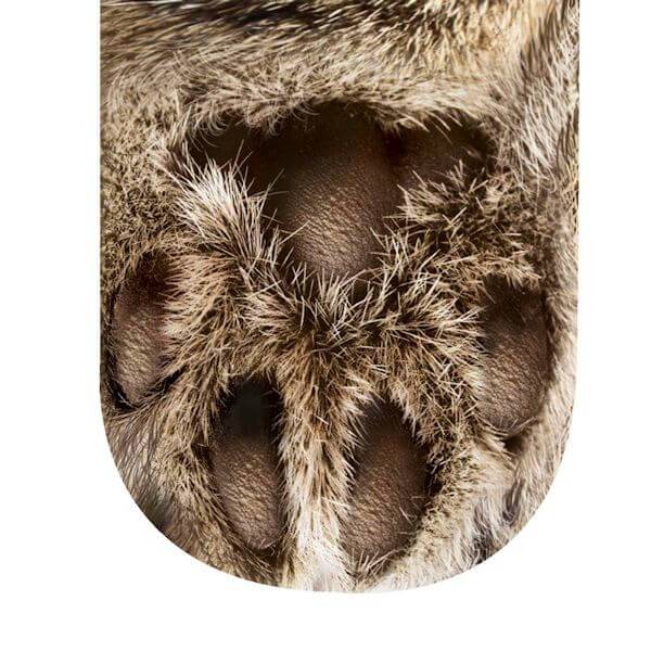 Cat Paw Socks - Meowaish