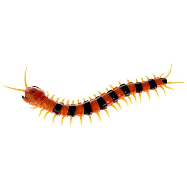 Funny Remote Control Insect Toy for Cats - Meowaish