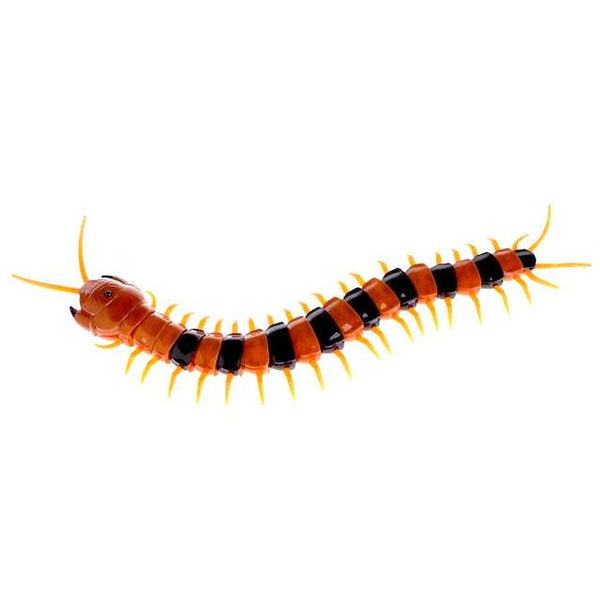 Funny Remote Control Insect Toy for Cats - Meowaish
