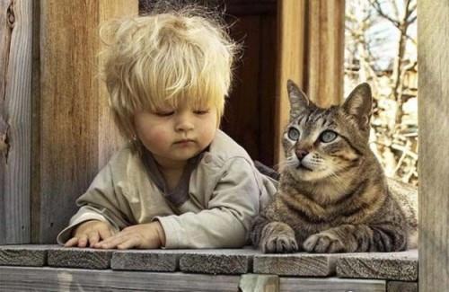 "Cats Help Adult And Children