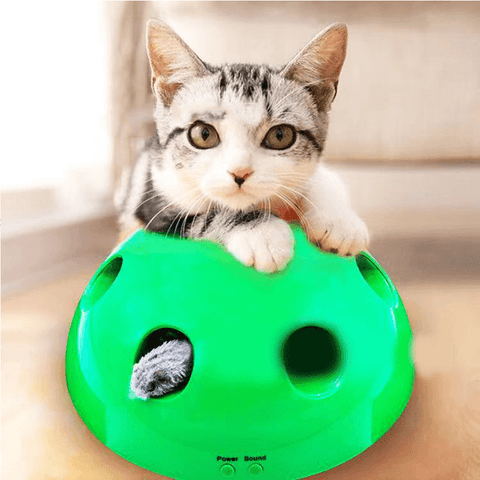 Interactive Motion Cat Toy Scratching Device