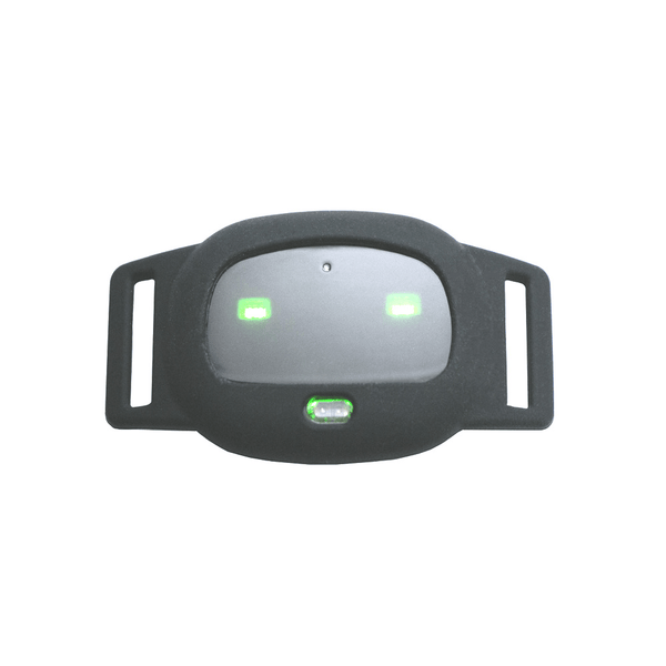 Smart GPS Cat Collar – Pet GPS Tracker