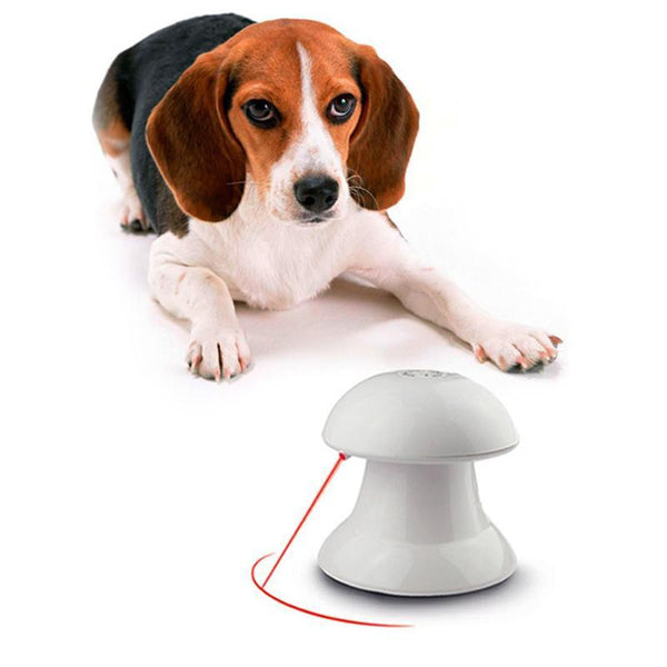 Interactive 360 Degree Laser Cat Toy