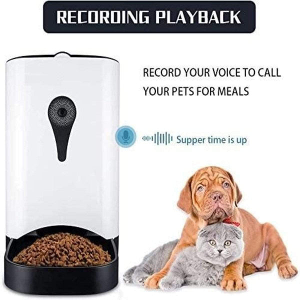 Intelligent Automatic Pet Feeder