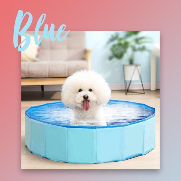 Portable Dog Pool And Bath Tub