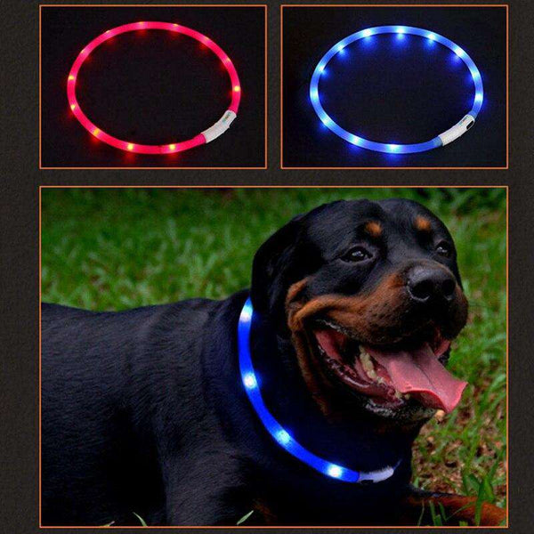Glow in the Dark Silicone Dog Collar