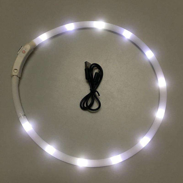 Glow in the Dark Silicone Dog Collar