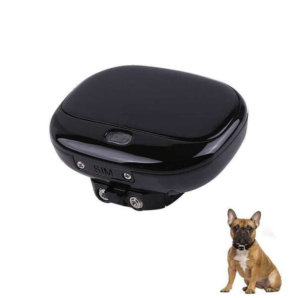 Smart GPS Cat Collar – Pet GPS Tracker
