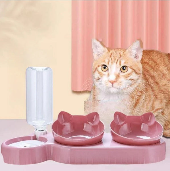 3-in-1 Cat Food Bowl and Automatic Feeder
