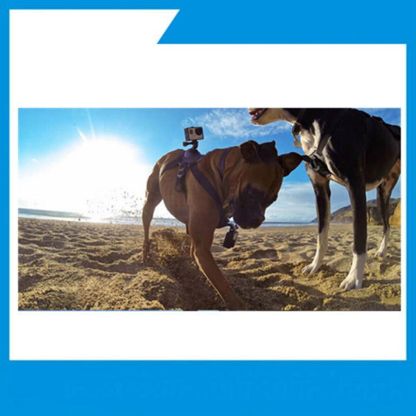 Action Cam Mount Dog Harness