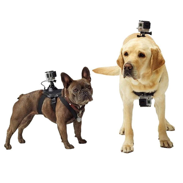 Action Cam Mount Dog Harness