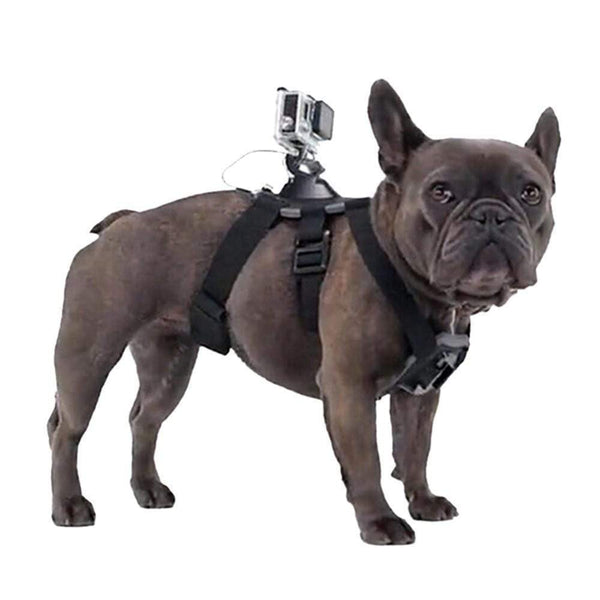 Action Cam Mount Dog Harness
