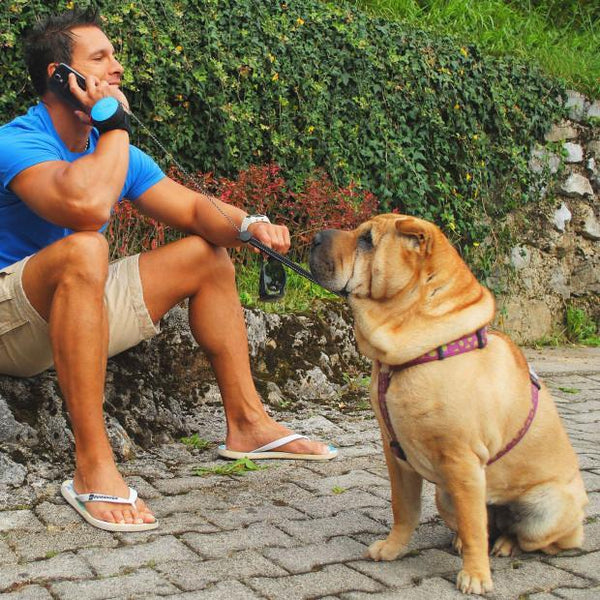 Hands Free Retractable Dog Leash - Wrist Strap 3M Reflective Dog Leash