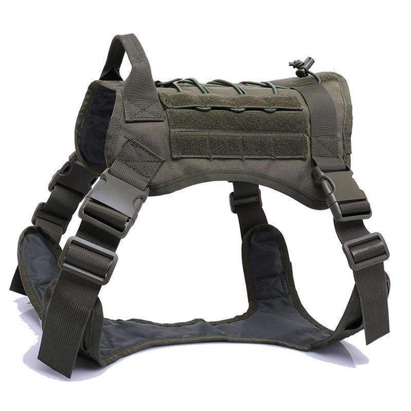Dog Harness