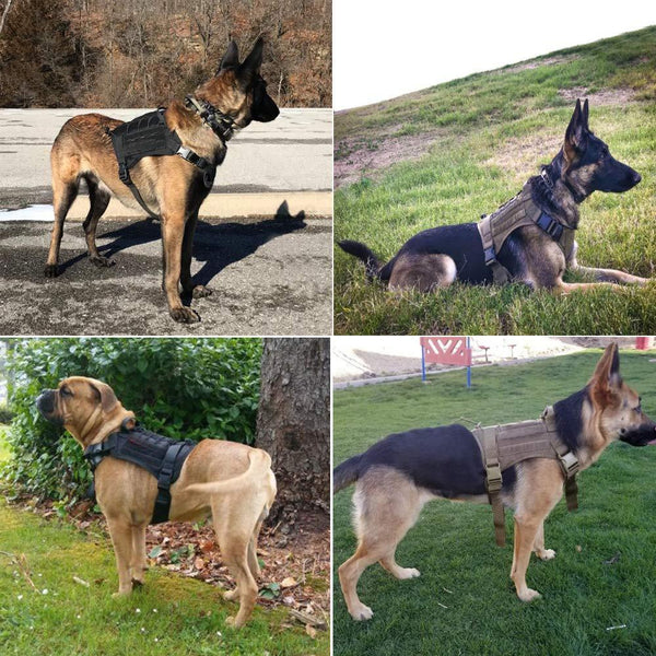 Military Tactical Dog Harness