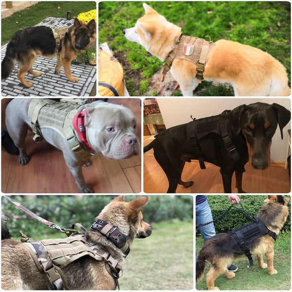 Military Tactical Dog Harness