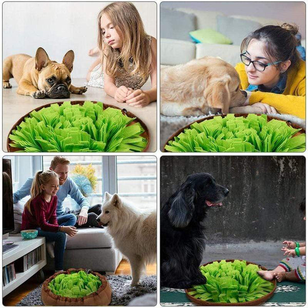 Snuffle Bowl Mat