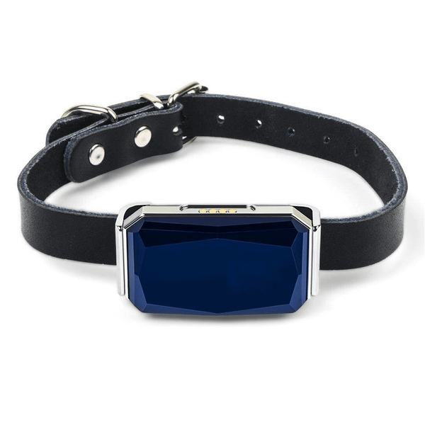 Pet Tracker - Waterproof GPS Collars For Dogs - Cat GPS