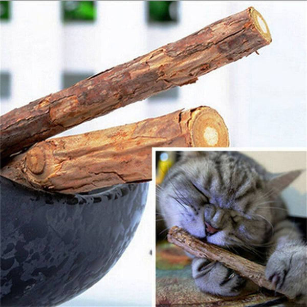 ChisCat Matatabi Cleaning Sticks - Keep Cat's Teeth Clean and Healthy - Meowaish