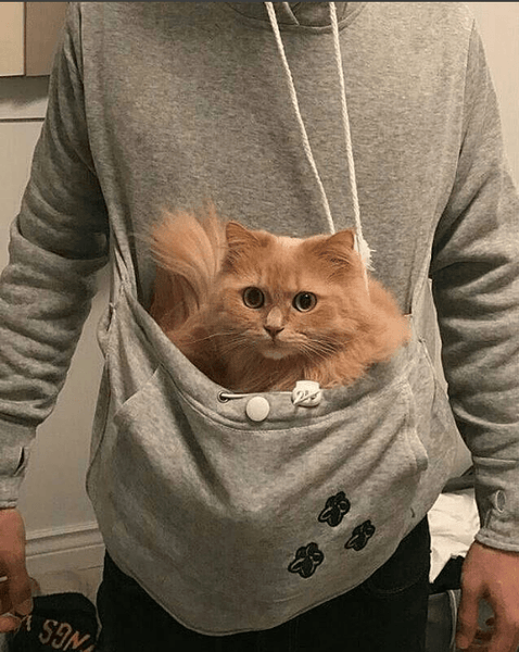 Cat Pouch Hoodie - Meowaish